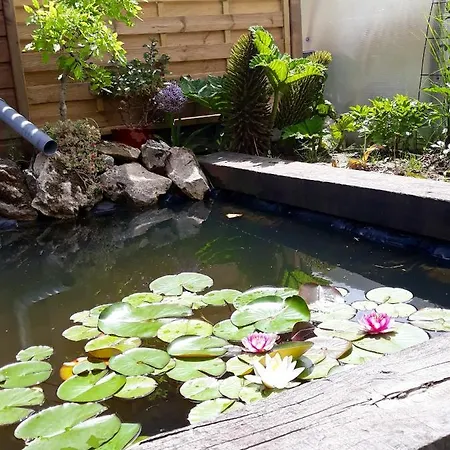 Maison Spacieuse A Roncherolles-en-bray Avec Jardin Prive *